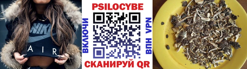 Галлюциногенные грибы Psilocybe  мега ONION  Сусуман 